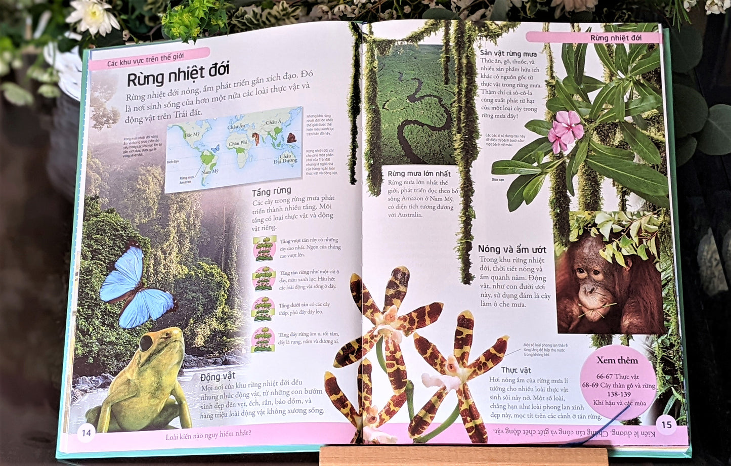 Bách Khoa Đầu Tiên - Translation of Children's First Encyclopedia