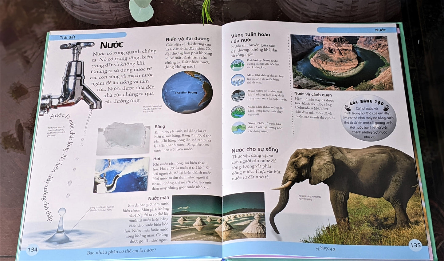 Bách Khoa Đầu Tiên - Translation of Children's First Encyclopedia