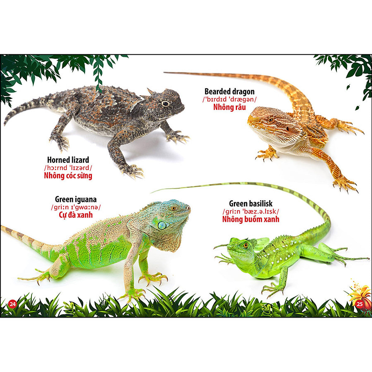 Bilingual Picture Dictionary: Insects & Reptiles | Từ Điển Bằng Hình Thế Giới Côn Trùng Và Bò Sát - Song Ngữ Anh - Việt