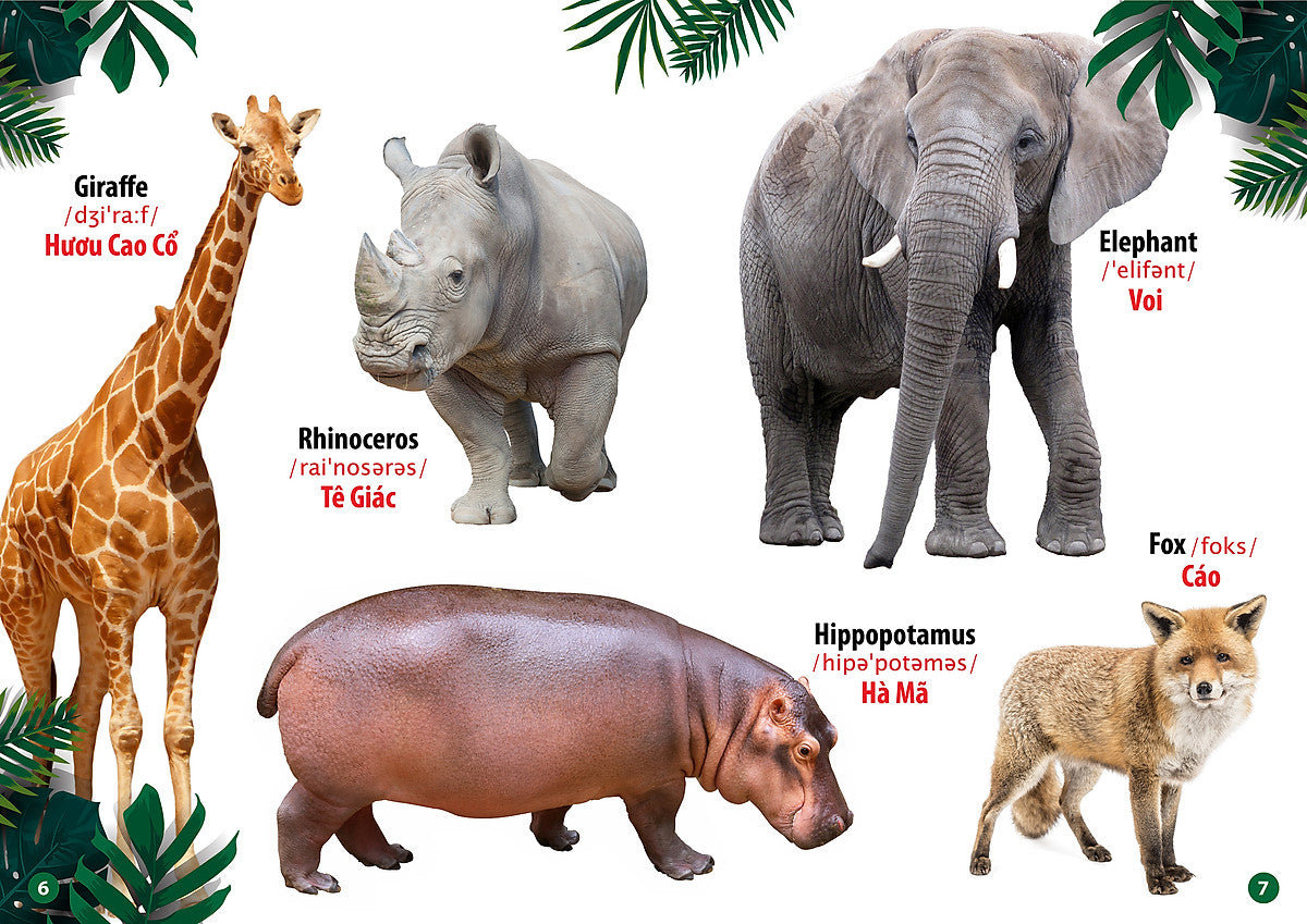 Bilingual Picture Dictionary: Animals | Từ Điển Bằng Hình Thế Giới Động Vật Song Ngữ