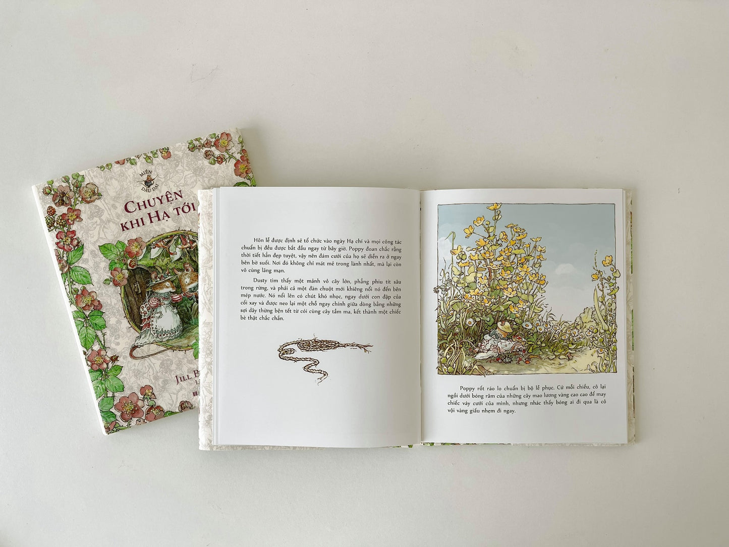 Miền Dâu Dại: Chuyện bốn mùa - translation of Brambly Hedge: the Four Seasons boxset