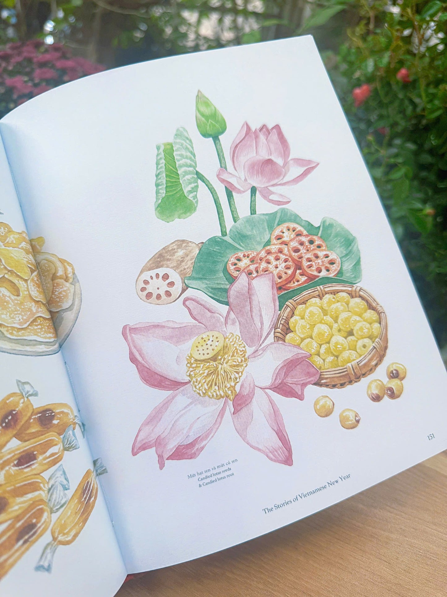 Bilingual Stories Of Vietnamese New Year |Tết Ba Miền - Song Ngữ