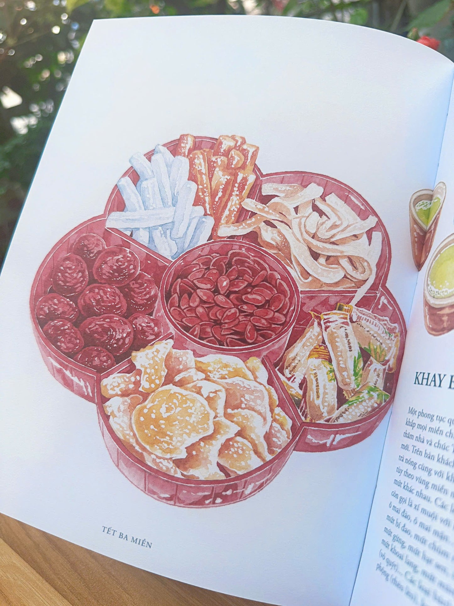 Bilingual Stories Of Vietnamese New Year |Tết Ba Miền - Song Ngữ