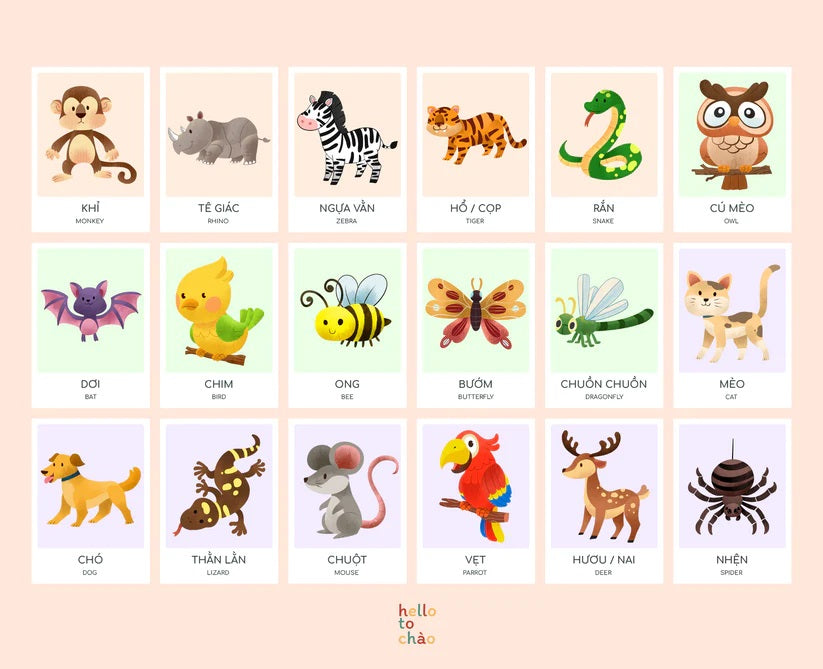 Bilingual Vietnamese Animal Flashcards | Thẻ flashcards song ngữ Anh Việt chủ đề động vật