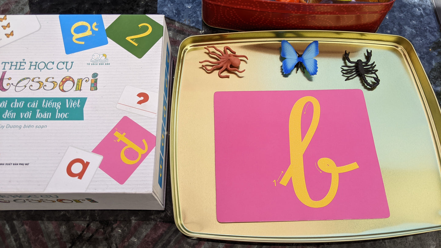 Hộp Thẻ Học Cụ Montessori: Làm Quen Với Chữ Cái Tiếng Việt - Bước Đầu Đến Với Toán Học (Vietnamese Montessori sand letters + numbers learning box)